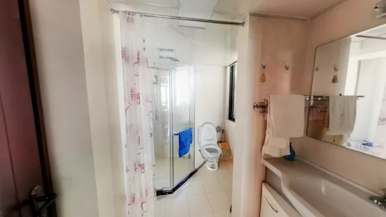 Phoenix Rhine Garden - View 8