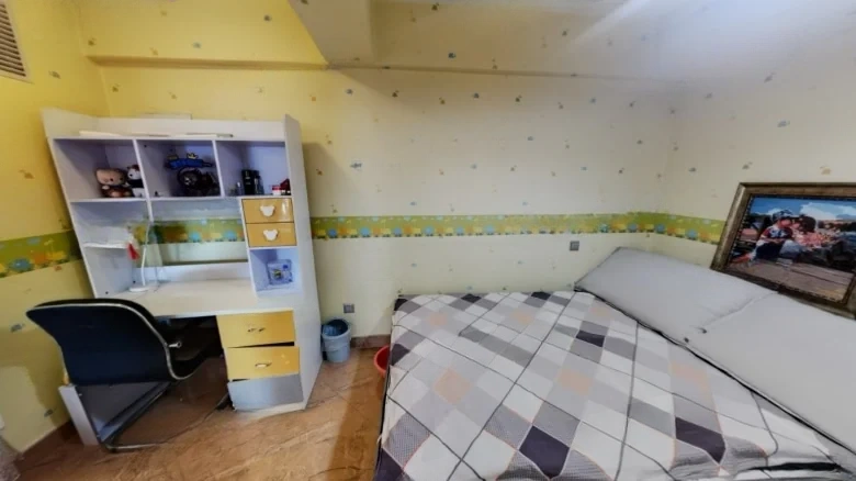 Forest International - View 3