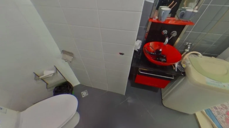 Tianxing Roosevelt - View 7