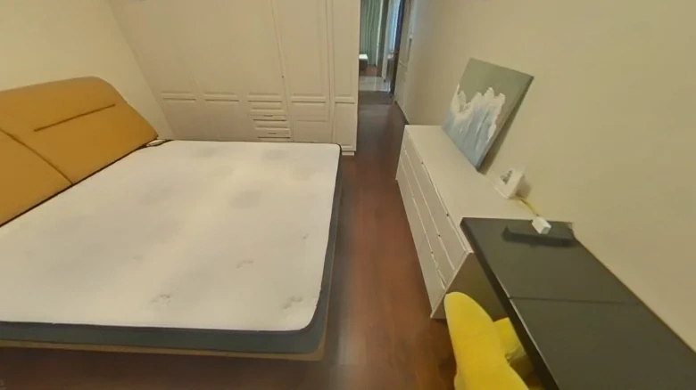 Clearing Splendor South District - View 3