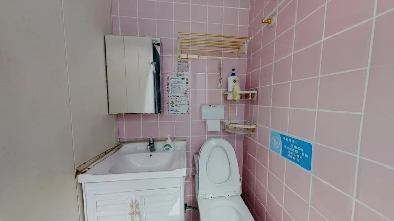 Nan Pig Lane - View 12