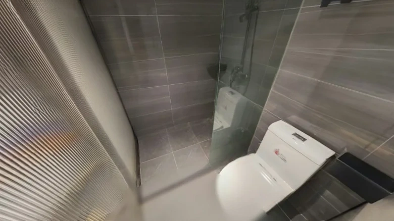 May 1st Shinkansen - View 6