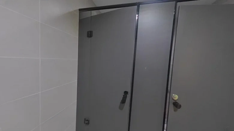 Jade麒麟SocietyHomeAsFamily或是Jade Lynx Family Mansion需要注意的是， - View 12