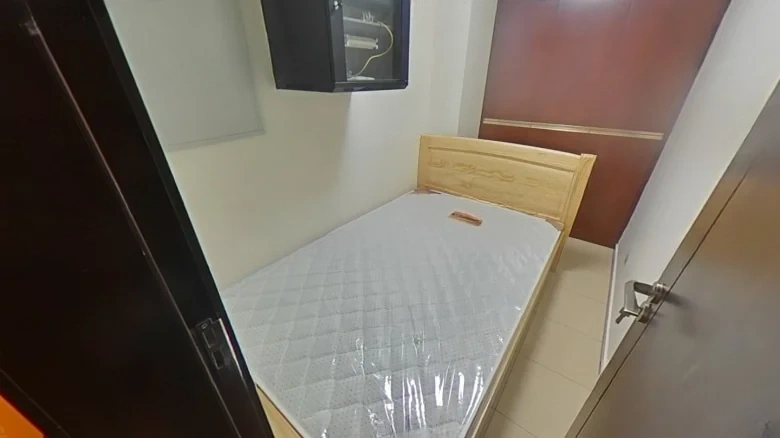 Green City Nanjing Peach Blossom Source - View 17