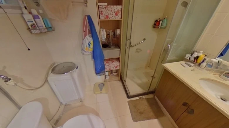 Jin Chen International Apartment - View 15