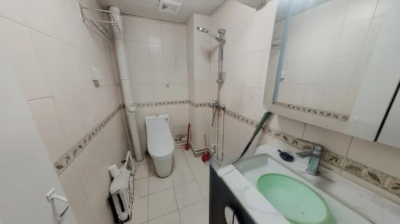 Jinyuchi West District - View 8