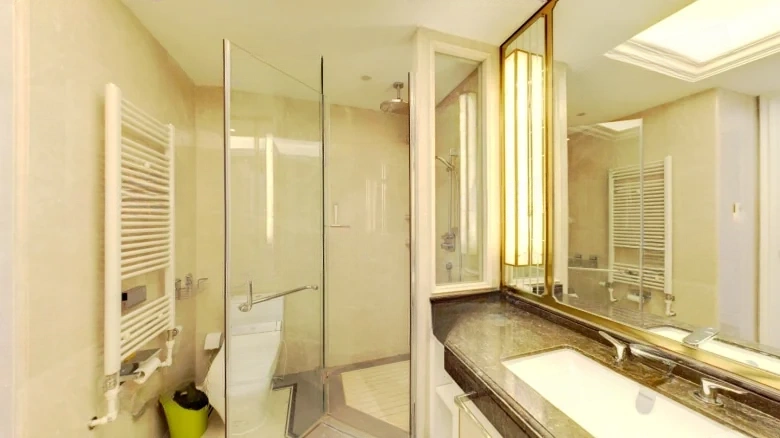 Xi Chen Original Manuscript - View 8