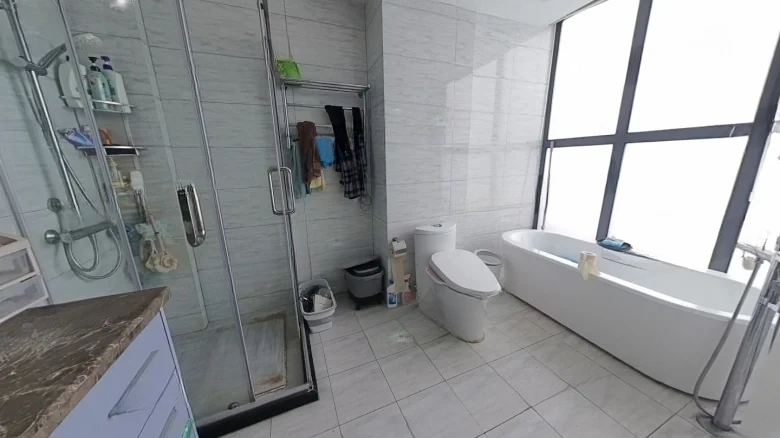 China Resources Central Park Phase IV No. 98 Haoxiang Road Villa - View 13