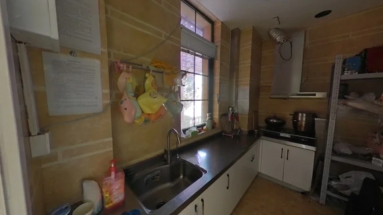 Green City Ideal City Blue Courtyard C Zone - View 10