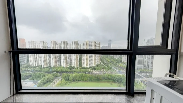 Era Wealth Center - View 7