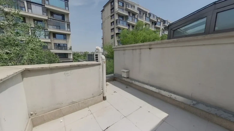 Jinglin Original Manuscript - View 18