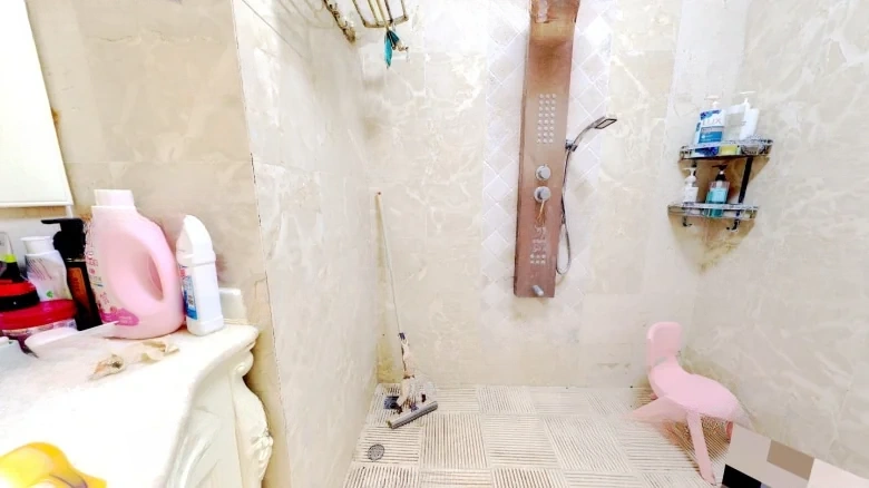 Shimao Linglong Terrace - View 11