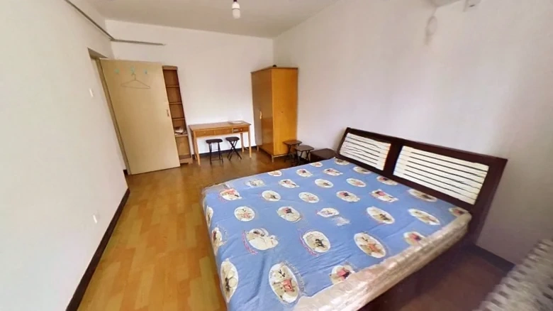 Luozhuangxi Li - View 2