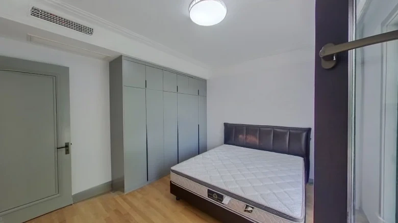 Jinglin Original Manuscript - View 6