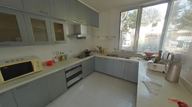 Jade Radiance Manor - View 9