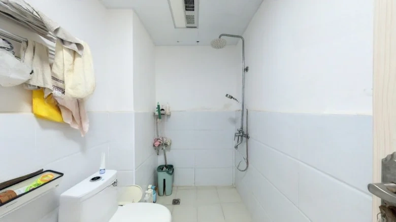 Beichen Dingjiang Yang - View 8