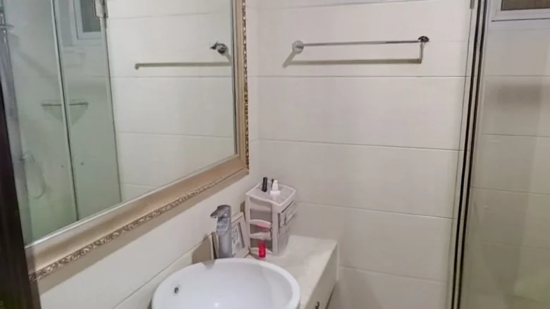 Prosperity Double Joy City - View 19