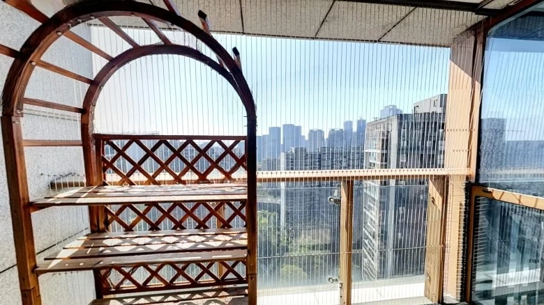 Golden Base Courtyard House - View 11