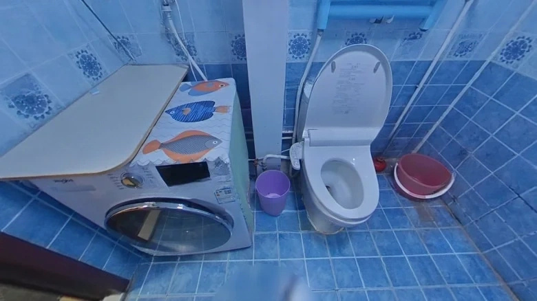 Dragon興Garden Central District - View 6