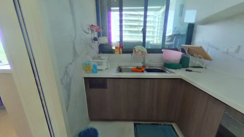 Four Seasons Bliss Lake Garden - View 11