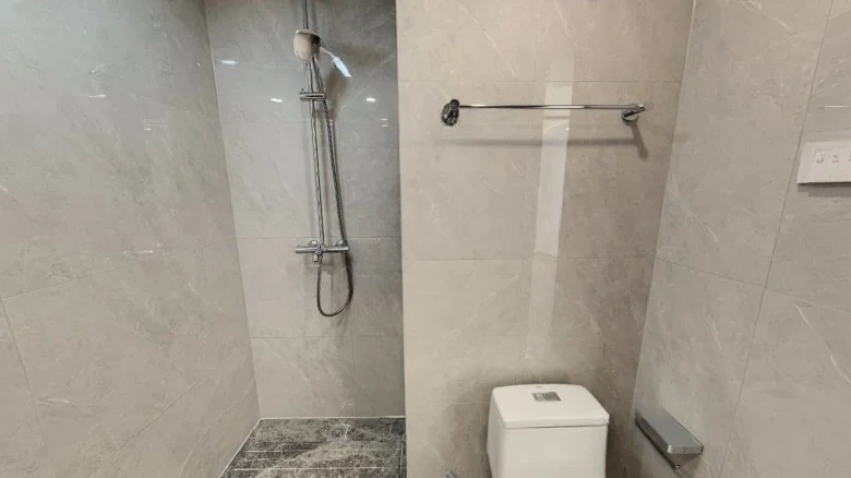 Bijiang Mansion 1913 - View 11