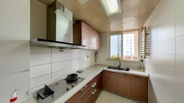 Wangyuan Dongli - View 7