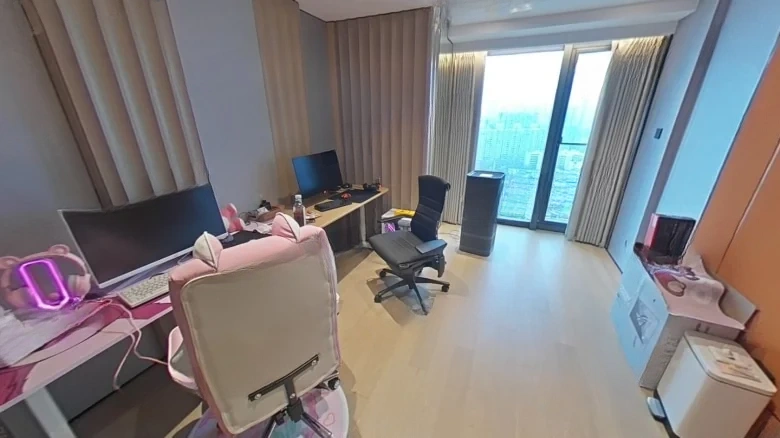 Xinxiang D10 Tianfu - View 4