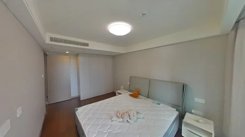 Bingjiang Wàngtāo Moonlit Night - View 4