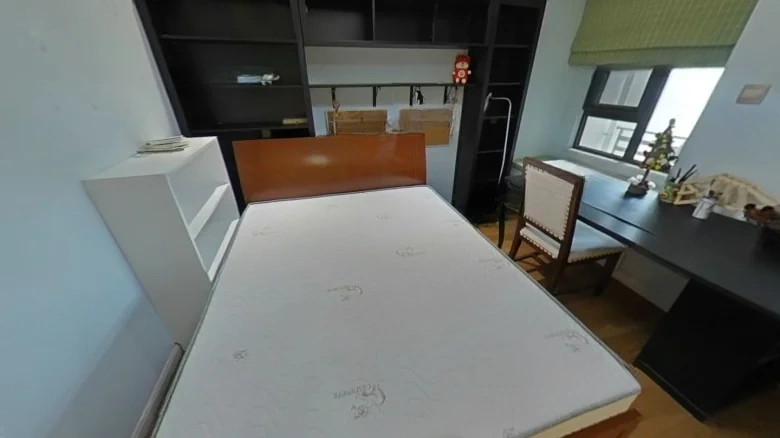 Xi Xi Hua Fu - View 2