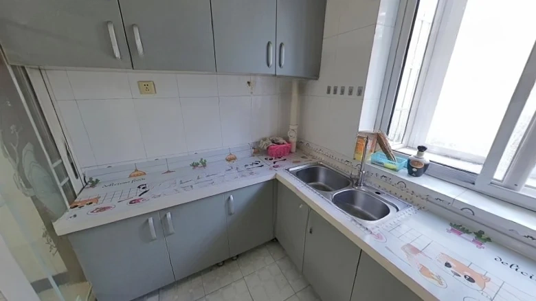 Xi Sanzhuang West District - View 8