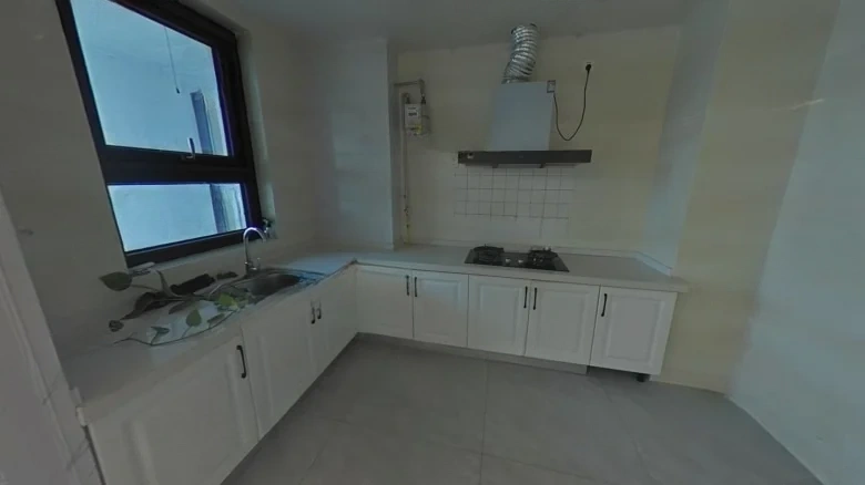 Prosperity Splendor Hall District D - View 8