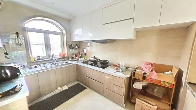 Prestige Dragon Art Villa - View 7