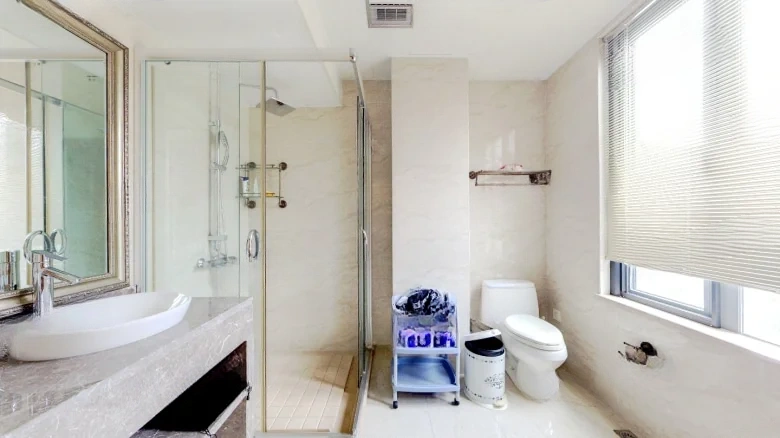 Xingdao Renshen - View 11