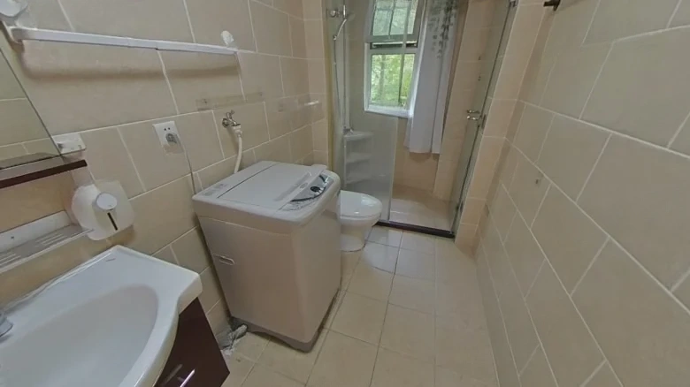 Eastern Saint Joseph - View 8