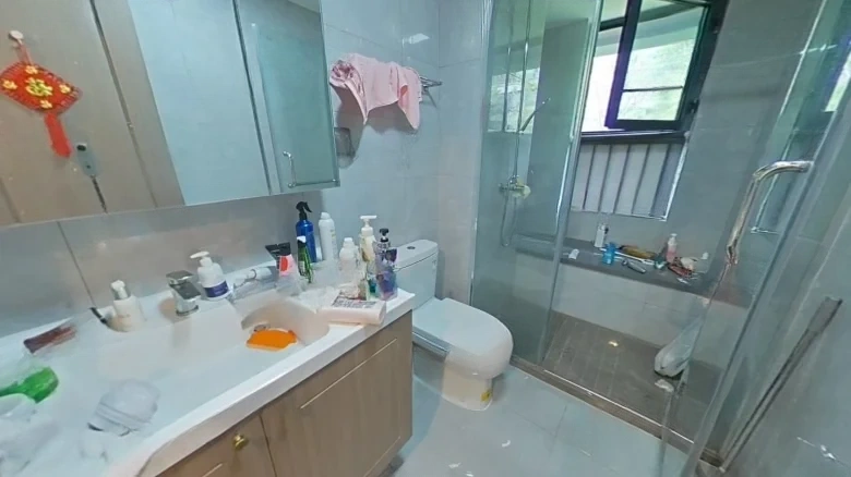 Jinlin Platinum Delight Mansion - View 9