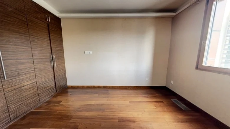 Tiantai Sun Tree - View 2