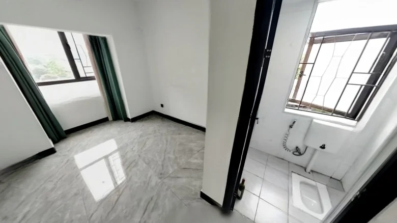 Qianlong Zuntuanpin - View 5