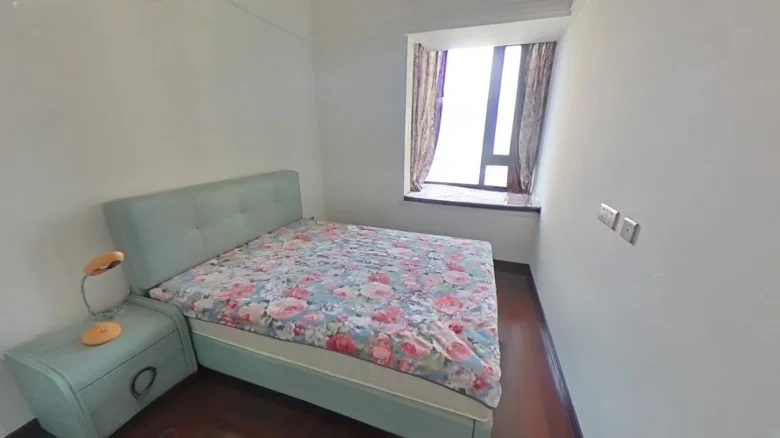 Cosmos Imperial Heaven Registry - View 2