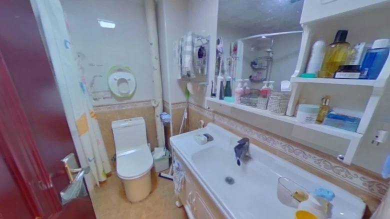 Golden Cicada South Grove - View 7