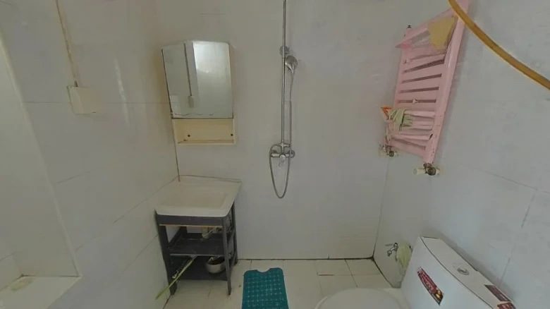 Feiyun Dongli - View 6