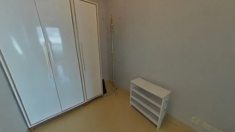 Sunlight Lily - View 11