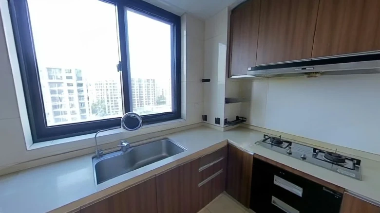 New City Prosperity Forever - View 11