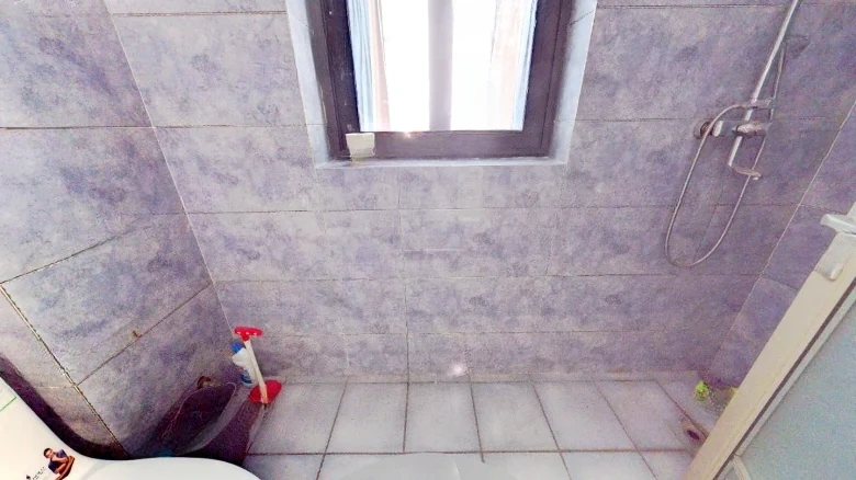 Poly Real Roland Sea Coast - View 12