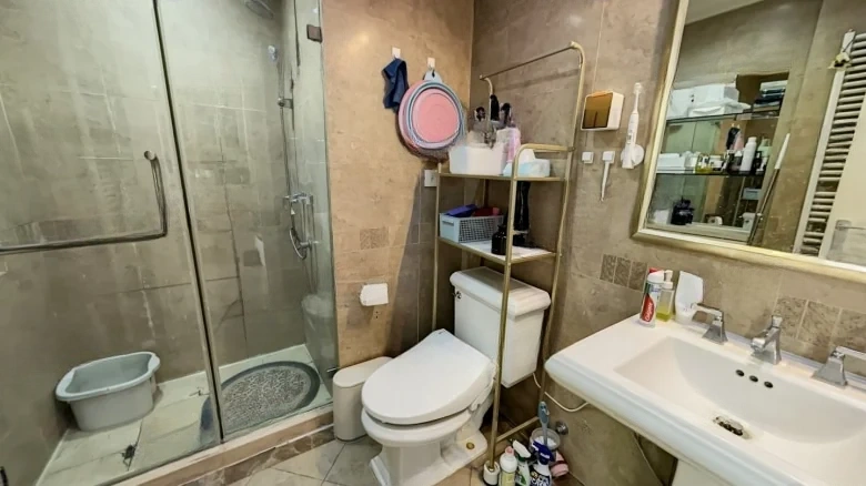 Lesheng Haoli - View 5