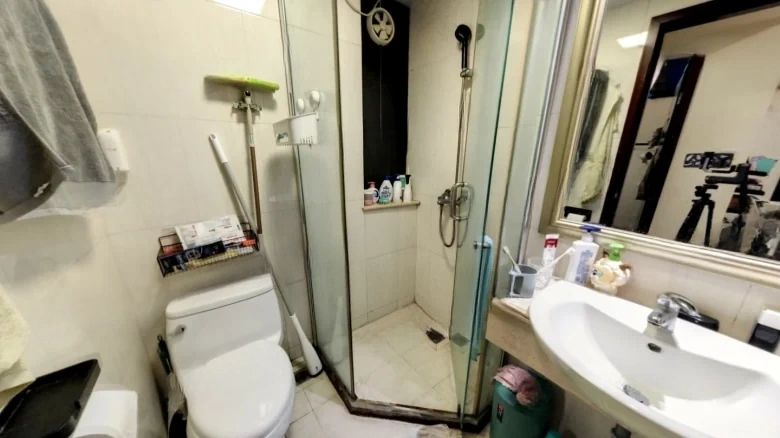 Pazhou Xin Village - View 8