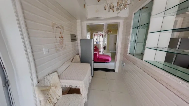 Phoenix Perch Paulownia - View 9