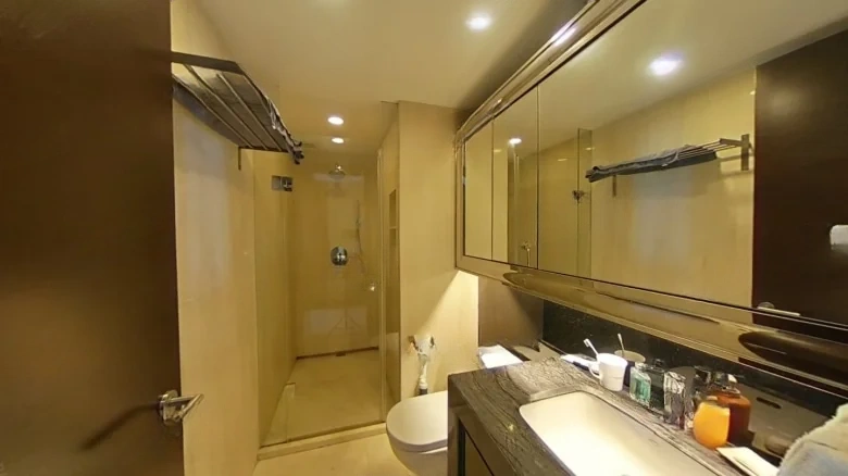 Hyatt Center - View 6