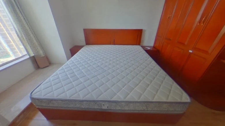 Shimao Lakeview Mansion D District - View 2