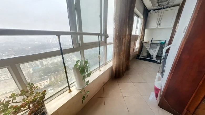 Panoramic Tower - View 10