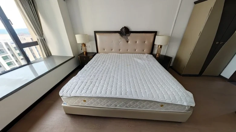 Vanke Tianfu Splendid Courtyard - View 2